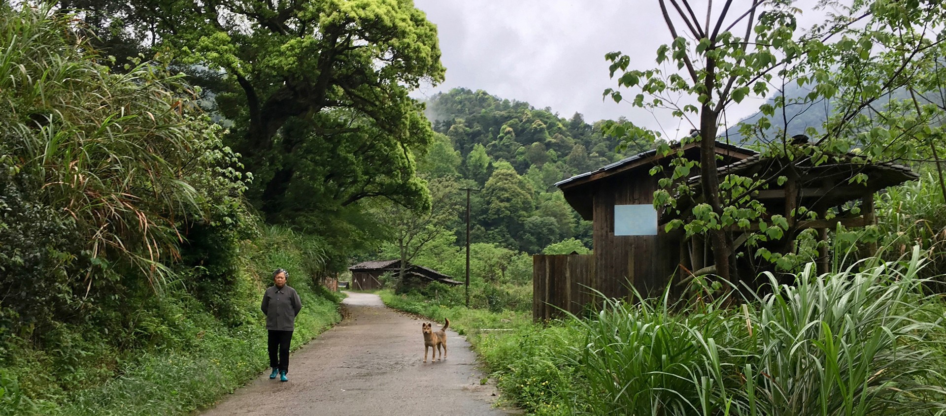 A DISCOVERY IN  RURAL VILLAGE